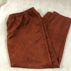 Velvety pants sz 26W